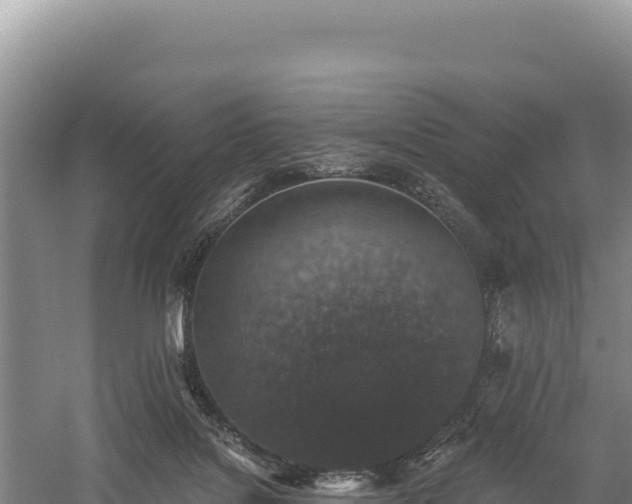 X0000059240076200510211614