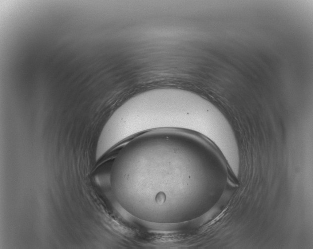 X0000059240078200510211614