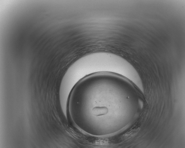 X0000059240080200510211614