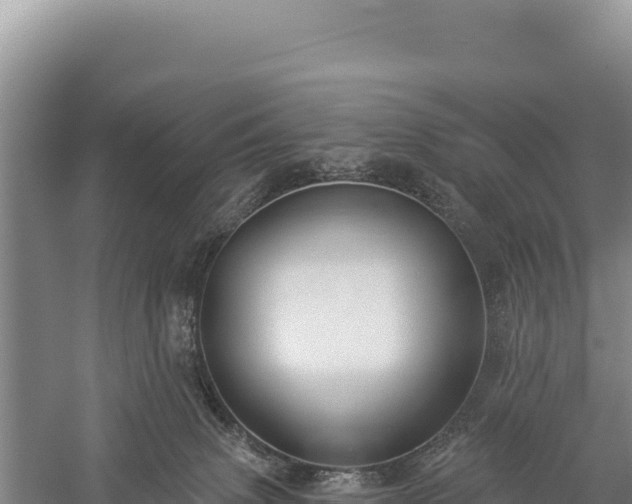 X0000059240083200510211614