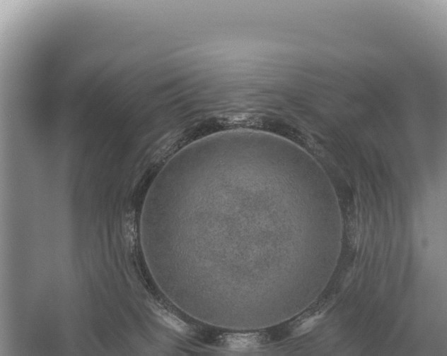 X0000059240085200510211614