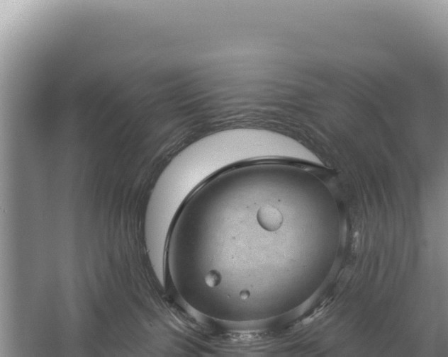 X0000059240091200510211614