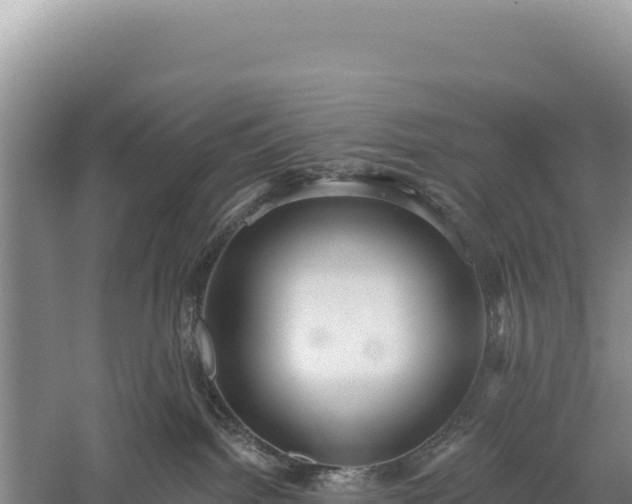 X0000059240092200510211614