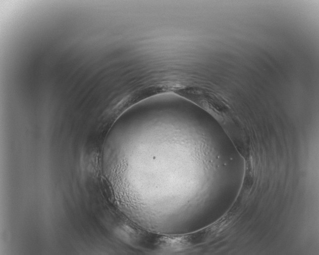 X0000059240093200510211614