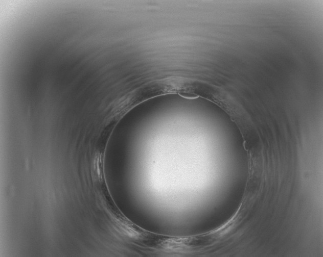 X0000059240094200510211614