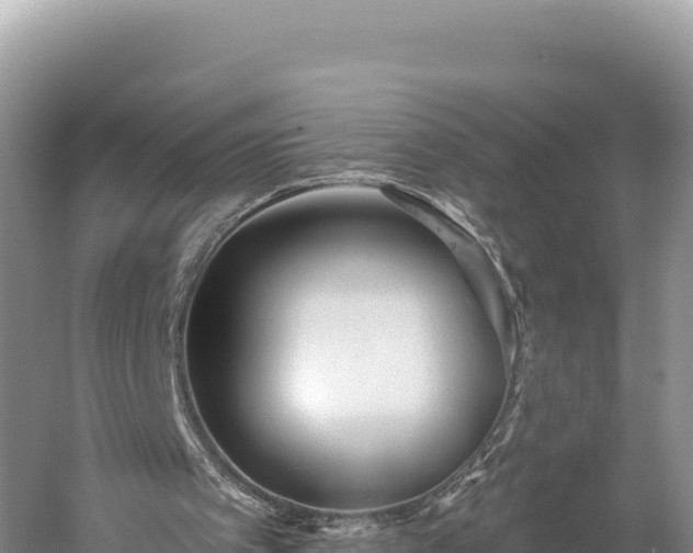 X0000059240097200510211613