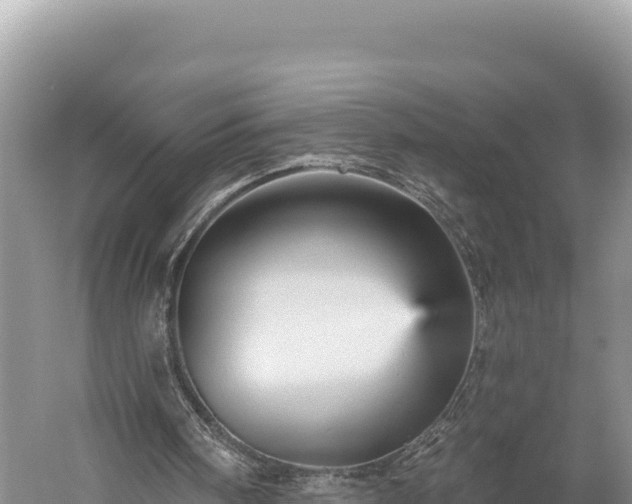 X0000059240098200510211613