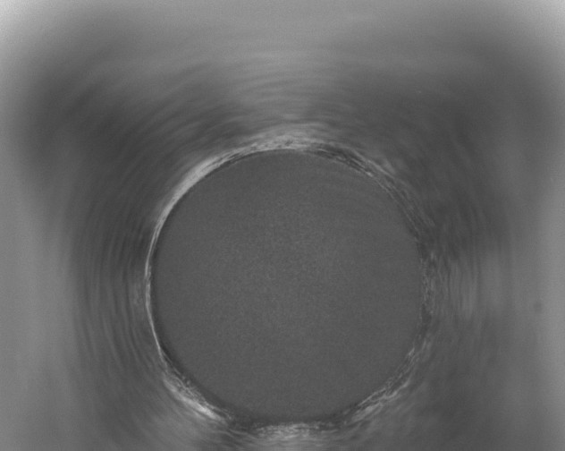 X0000059240100200510211613