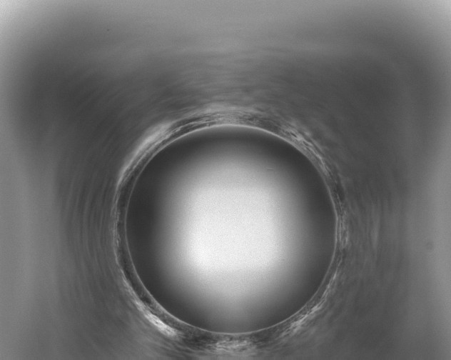 X0000059240101200510211613