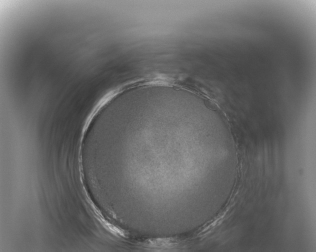 X0000059240102200510211613