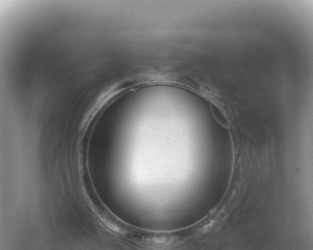 X0000059240103200510211613