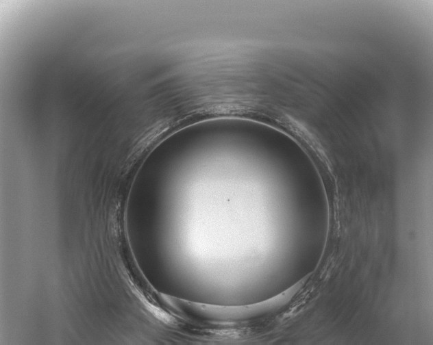 X0000059240105200510211613