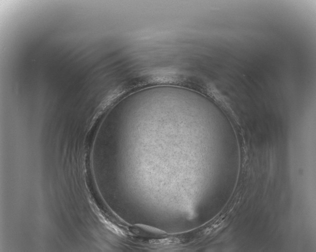 X0000059240106200510211613