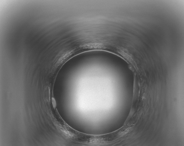 X0000059240109200510211613