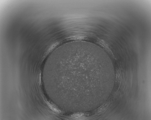 X0000059240110200510211613