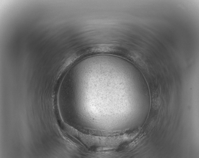 X0000059240111200510211613