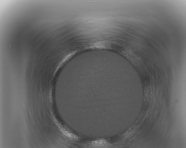 X0000059240112200510211613