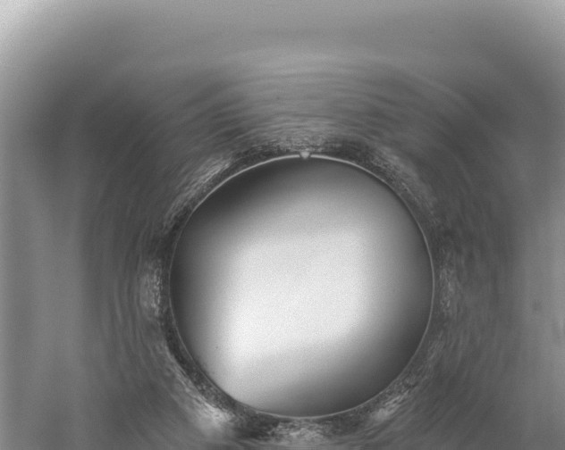 X0000059240113200510211613