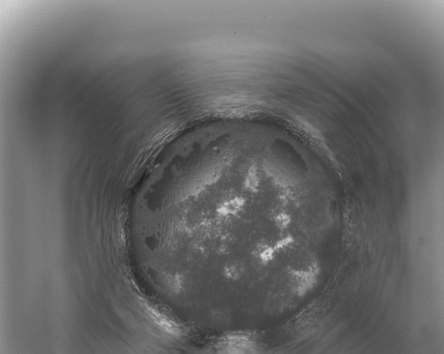 X0000059240114200510211613