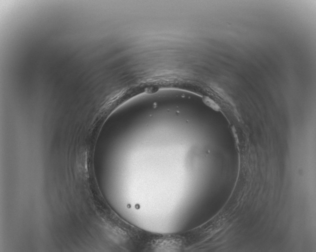 X0000059240115200510211613