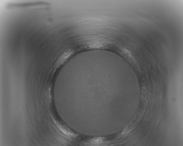 X0000059240116200510211613