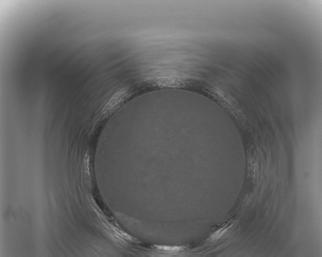 X0000059240117200510211613