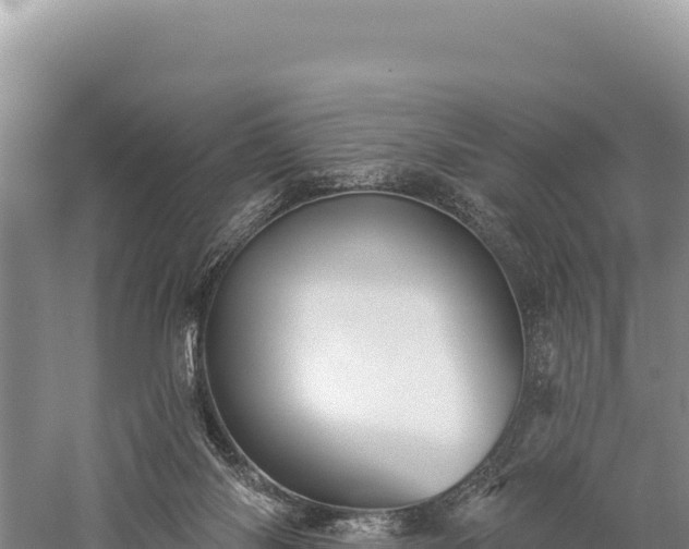 X0000059240118200510211613