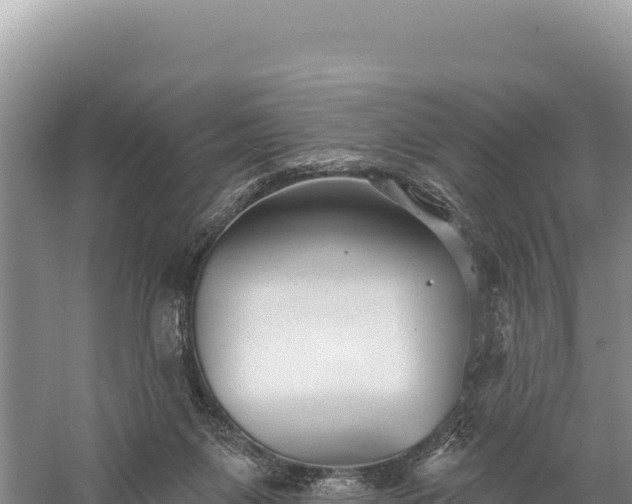 X0000059240119200510211613