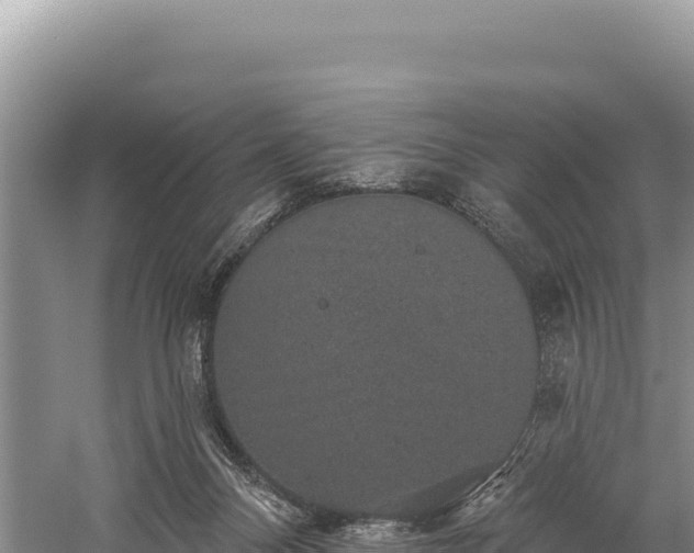 X0000059240120200510211613