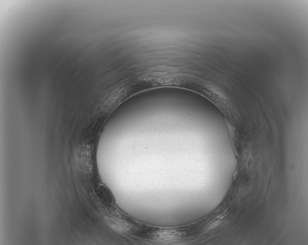 X0000059240121200510211613