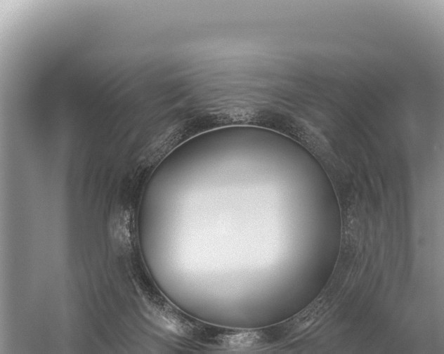 X0000059240122200510211613