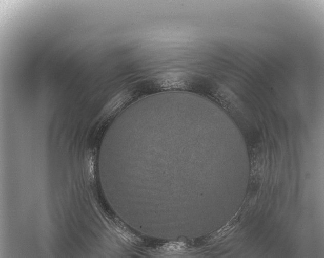 X0000059240124200510211613