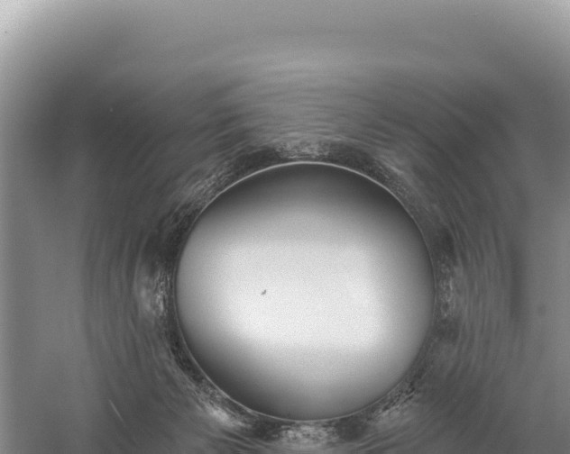 X0000059240125200510211613