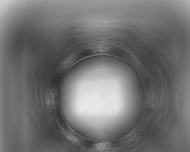 X0000059240126200510211613