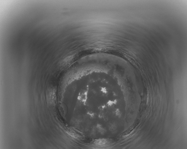 X0000059240127200510211613