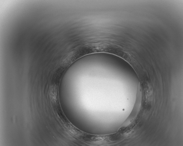 X0000059240129200510211613