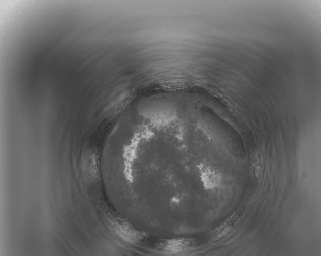 X0000059240130200510211612