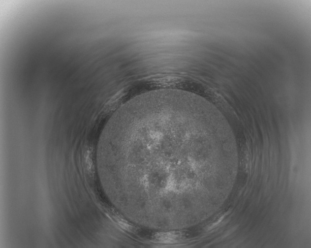 X0000059240131200510211612