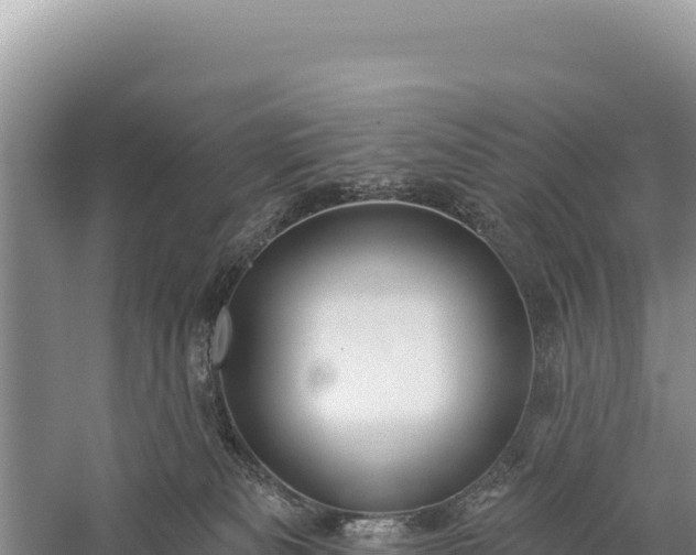 X0000059240133200510211612