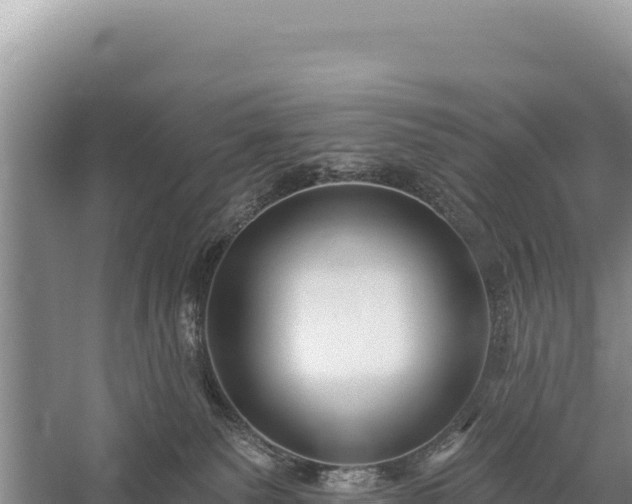 X0000059240135200510211612