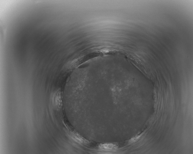 X0000059240137200510211612