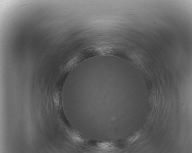 X0000059240139200510211612