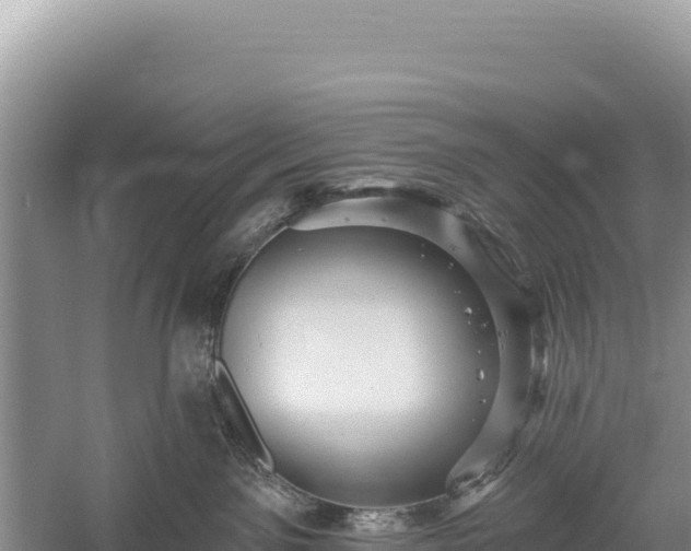 X0000059240141200510211612