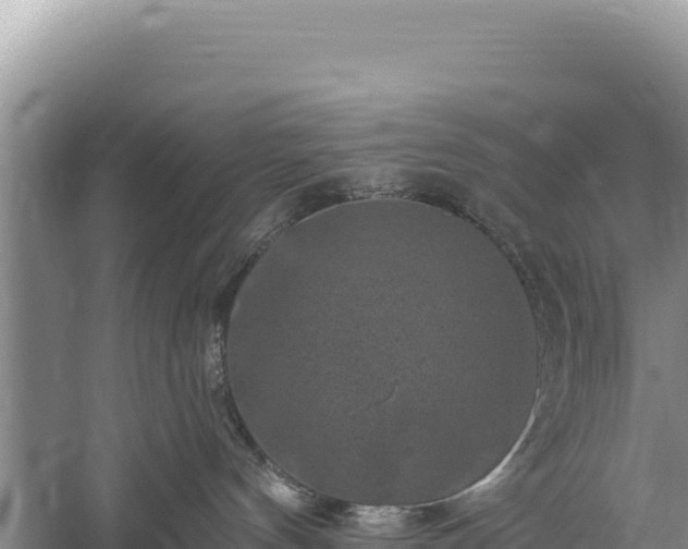 X0000059240144200510211612