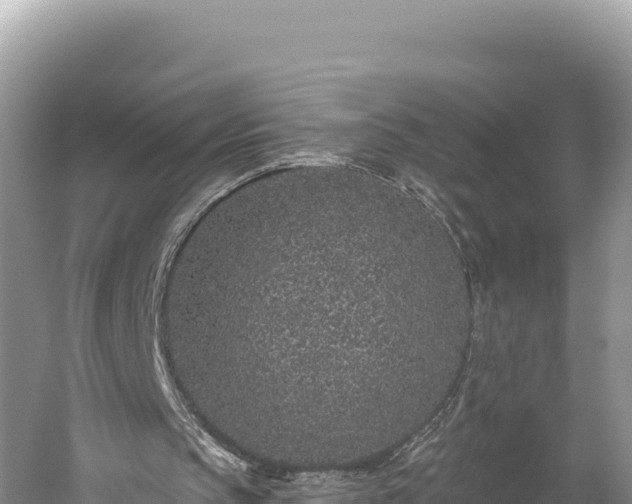 X0000059240145200510211611