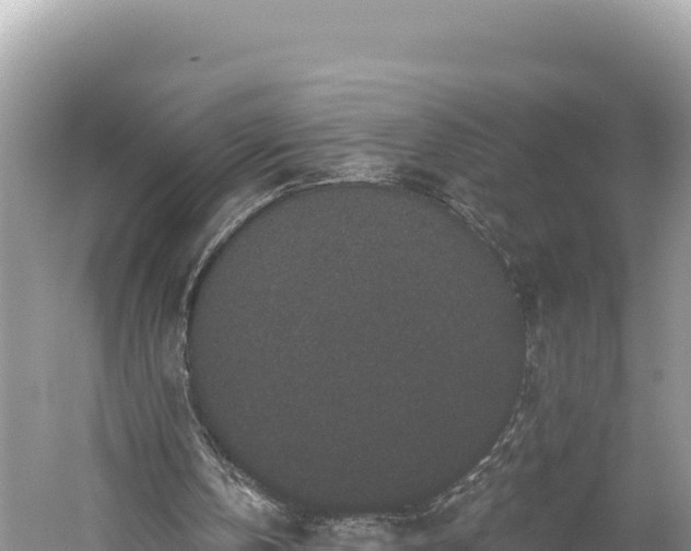 X0000059240146200510211611