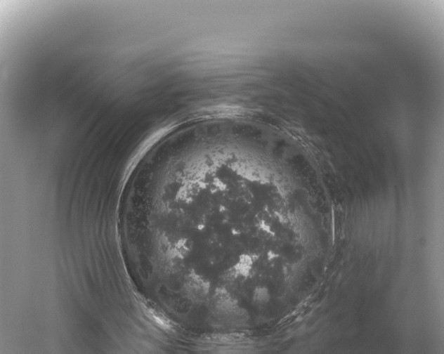 X0000059240147200510211611