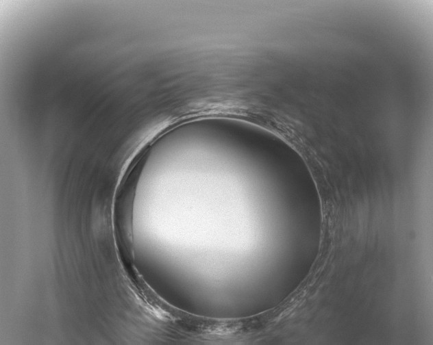 X0000059240148200510211611