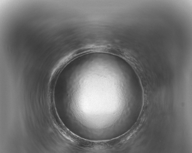 X0000059240149200510211611