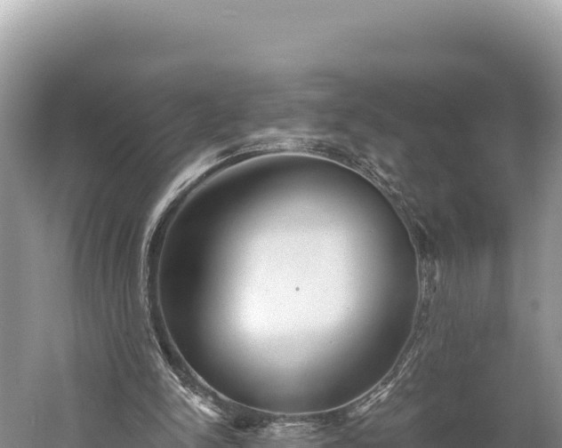 X0000059240150200510211612